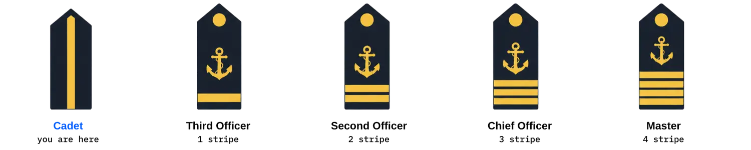 MNOPTA Merchant Navy ranks in deck